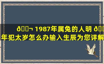 🐬 1987年属兔的人明 🐞 年犯太岁怎么办输入生辰为您详解！